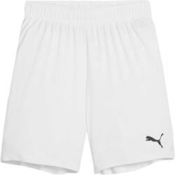 PUMA Teamgoal Shorts (70575304)
