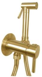 PAFFONI Bidet Kit - Rejtett karos keverőkaros készlet bidé zuhanyzóval, csiszolt arany színben ZDUP110HGSP (ZDUP110HGSP)