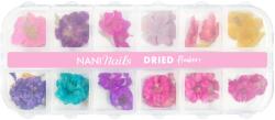 NANI dried flowers - Full Bloom Set