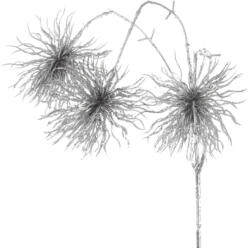  57b karácsonyi dísz Ezüst 35x10 cm (370626)