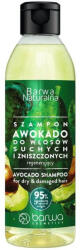 Barwa Natural Avokádó Regeneráló Sampon - Törékeny, Száraz, Sérült Hajra