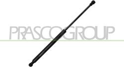 PRASCO Amortizor capota PRASCO BM0249005 (BM0249005) - fixbox