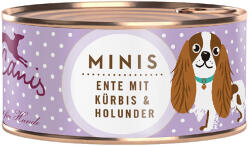 Terra Canis 18x100g Terra Canis Mini Kacsa, sütőtök eper & bodza nedves kutyatáp