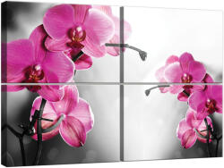 Orchidea Vászonkép Szett - 4 részes - 80x120 cm
