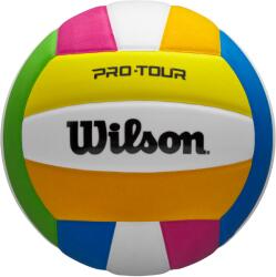 Wilson Pro Tour VB Multicolor (WV2000504XB+)