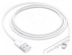 Apple Lightning to USB Cable 1m