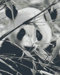  Pixel szett 36 normál alaplappal, színekkel, panda (836026)