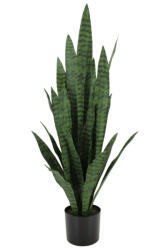  Mű Anyósnyelv - Dekornövény - 90cm