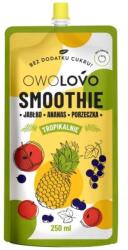 OWOLOVO Tropic Smoothie Alma-Ananász-Fekete Ribizli - 250ml - egeszsegpatika