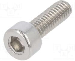 M8*60 Htl A4