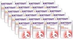 KATTOVIT Kattovit Niere/Renal csirkés eledel 24x85g-os tasakos