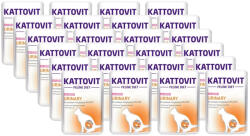 KATTOVIT Kattovit Húgyúti lazac 24x85g
