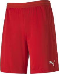 PUMA Team Final 21 Knit Shorts (70425701)