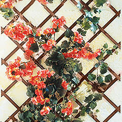 NORTENE TrelliWood növényfuttató fa apácarács (50x150 cm) keskeny léc, barna szín (2019459)