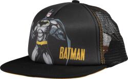 Warner Bros. Interactive Batman Skills (batman_skills_cap)
