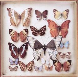 Torrini, Emiliana RARITIES - facethemusic - 5 190 Ft