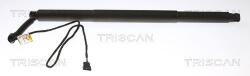 TRISCAN Amortizor portbagaj TRISCAN 8710 11311 (8710 11311)