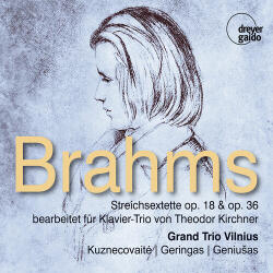 Grand Trio Vilnius Johannes Brahms: Strin
