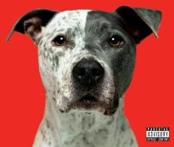 El Khatib, Hanni Flight - facethemusic - 9 390 Ft