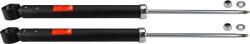 TRW amortizor TRW TWIN JGT218T (JGT218T)