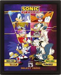 Pyramid 3D Afiș înrămat Pyramid Games: Sonic - Select Your Fighter (EPPL71540)