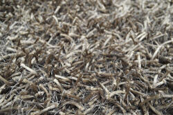 Bakero Shaggy Funny antrazit Szőnyeg (170x240 cm)