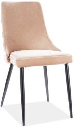 SIGNAL MEBLE Szék PIANO B VELVET fekete váz / bézs BLUVEL 28 (PIANOBVCBE)