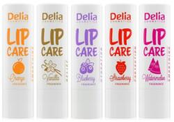 Delia Cosmetics Balsam de Buze Protector Delia Protective Display Mixt, 20 Bucati/Set (DEM000671)
