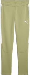 PUMA Teamevostripe Pants (65994840)