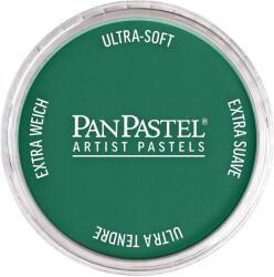 PanPastel Artists’ Сух пастел 620.3 Phthalo Green Shade 1 бр (<![CDATA[8026203-1]]>)