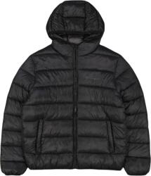 Champion Outdoor (220342-kk001)