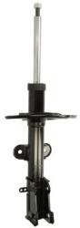 Magnum Technology Amortizor MAGNUM TECHNOLOGY AGY036MT (AGY036MT) - fixbox