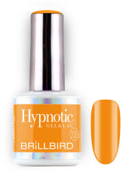 BrillBird TPO FREE Hypnotic HEMA Free Gel&Lac 8ml 208