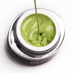 Brillbird Brush&Go színes zselé - GO 28 - 4, 5ml TF