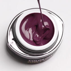 Brillbird Brush&Go színes zselé - GO 26 - 4, 5ml TF