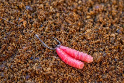 Guru Match Special Rig 16 Szakállas, Lapkás Monofil Előkötött Horog 8db (GRR244)