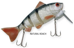 Rapture Dancer Perch wobbler natural Roach 16cm 60gr Wobbler (187-03-162)