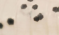 Rapture ULC Water Shrimp 6, 2cm 1gr Pearl Blue Lágygumi Csali 8db (187-21-125)