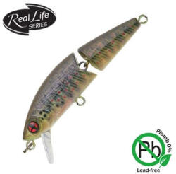 Sakura Phoxy Jointed 50S 5cm 3, 7gr RL04 Wobbler - Real Life Fario Trout (SATLM500150-RL04)