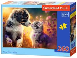 Castorland B-27583 - Új barátság - 260 db-os puzzle (B-27583)