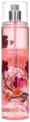 AQC Japanese Cherry Blossom body mist - 236 ml