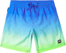 O'Neill Cali Gradient 14'' Swim Shorts (4800034-25030)