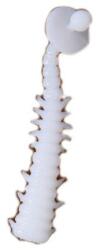 Nomura Naluca Nomura Aki, White, 3cm, 0.17g, 12buc (F1.NM.71707803)