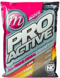 Mainline Nada Mainline Pro Active Groundbait, Mix Sweet Marine, 2kg (A0.M.MM2906)