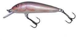 Salmo Vobler Salmo Minnow M7F RR, 7cm, 6g (84427130)