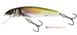 Salmo Vobler Salmo Minnow M7F HBL Floating, 7cm, 6g (84427175)