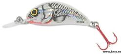 Salmo Vobler Salmo Hornet H2S SWS, 2.5cm, 1.5g (84412511)