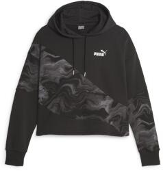PUMA Power Cat Hoodie (67720501)