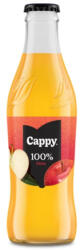 Cappy Gyümölcslé CAPPY Alma 100% üveges 0, 25L DRS (1565008) - papir-bolt