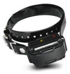 Dogtra Nyakörv és vevőkészülék Dogtra iQ Plus